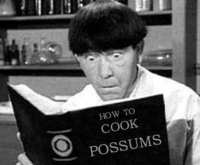 How To Cook Possums